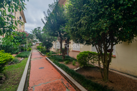Image 31 - 992575