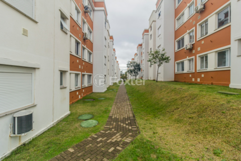 Image 48 - 876530