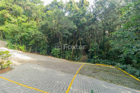 Image 101 - 856554