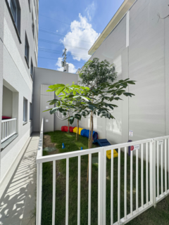 Image 24 - 992852