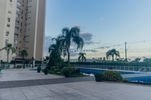 Image 34 - 987847