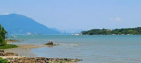 Image 17 - 1013935