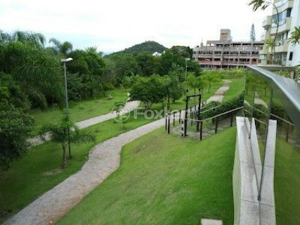 Image 29 - 928868