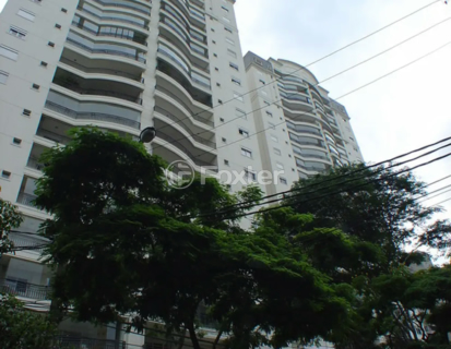 Image 40 - 968953