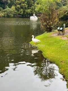 Image 17 - 302548