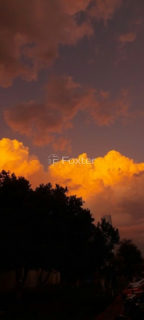 Image 1 - 985779