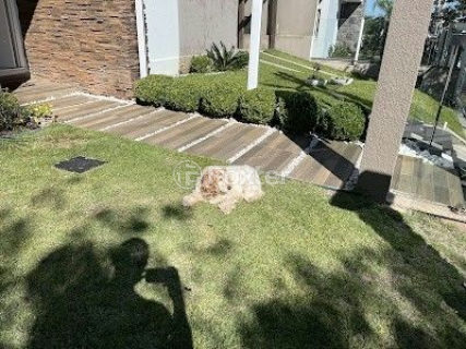 Image 81 - 962937