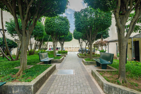 Image 27 - 335254