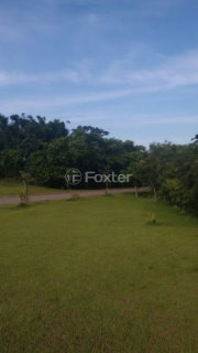 Image 25 - 965912