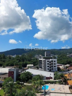 Image 39 - 1017004