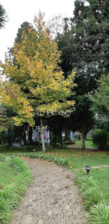 Image 32 - 272904