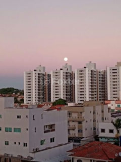 Image 49 - 1002265