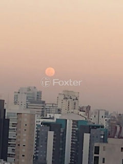 Image 33 - 982132