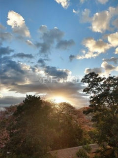 Image 10 - 997359