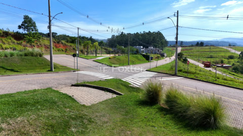 Image 6 - 1017439