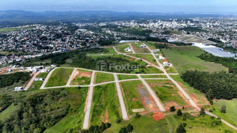 Image 14 - 1017439