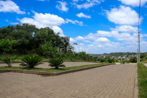 Image 11 - 1017620
