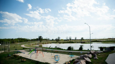 Image 11 - 1017644