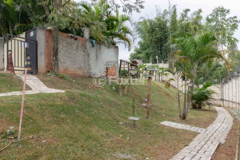 Image 37 - 884910