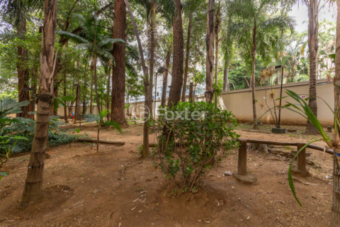 Image 38 - 1011339