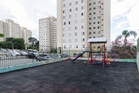 Image 24 - 973902