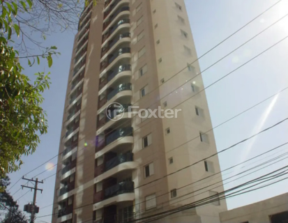 Image 41 - 1015891