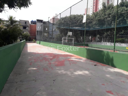 Image 13 - 1019526