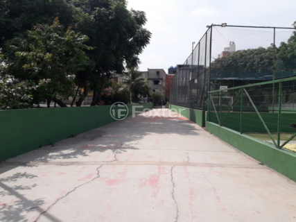 Image 4 - 1019526