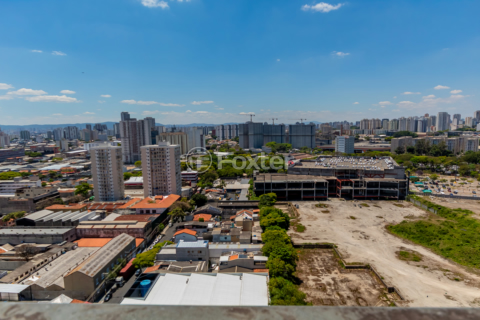 Image 49 - 319188