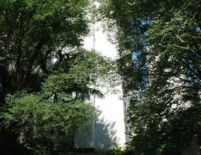 Image 46 - 881678