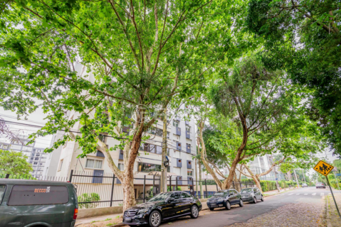 Image 34 - 893134