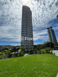 Image 85 - 981164
