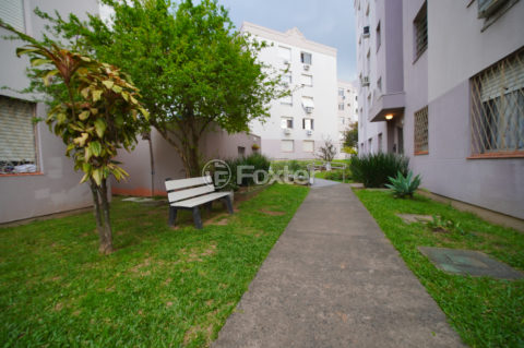 Image 37 - 548744