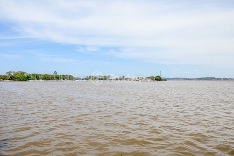 Image 13 - 290
