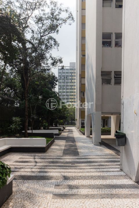 Image 20 - 1009051