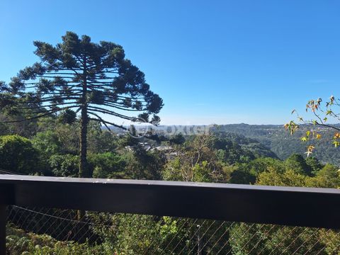 Image 37 - 969685