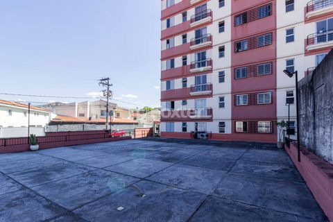 Image 15 - 33539