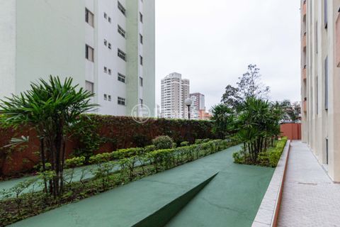 Image 54 - 334747