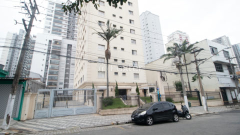Image 35 - 1013356
