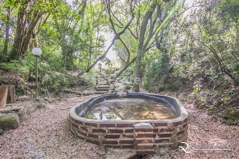 Image 96 - 139259