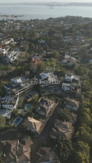 Image 78 - 1021593