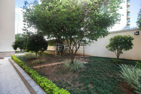 Image 83 - 330829