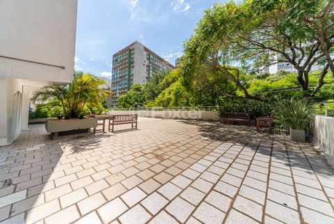 Image 37 - 203504