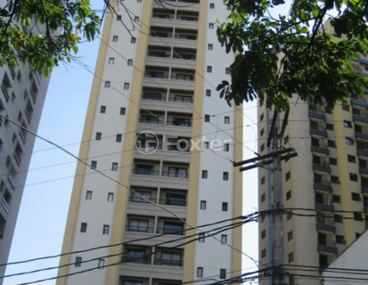 Image 39 - 323461