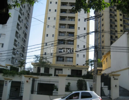 Image 40 - 323461