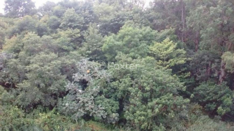 Image 58 - 1018964