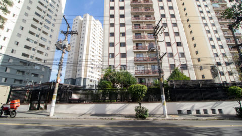 Image 45 - 1013970