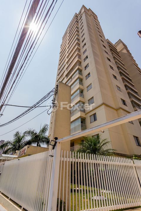Image 100 - 968643