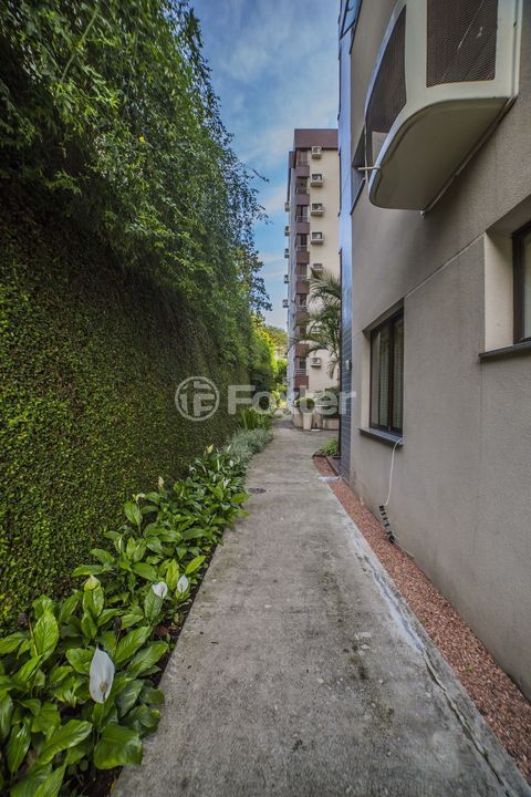 Image 91 - 989803