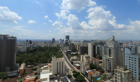 Image 33 - 1010819